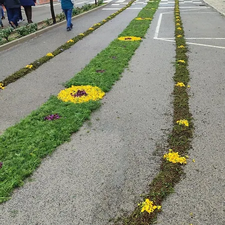 Vivenda Flores アパート *
