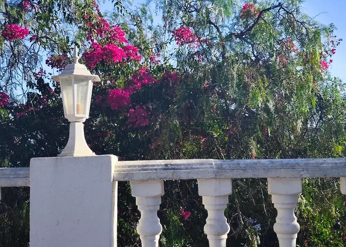Vivenda Flores Apartment *