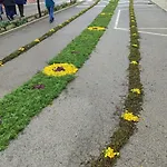 Vivenda Flores شقة *