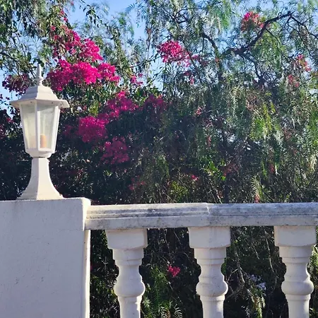 Vivenda Flores Apartament *